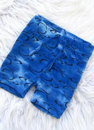 Стильні шорти zeeman