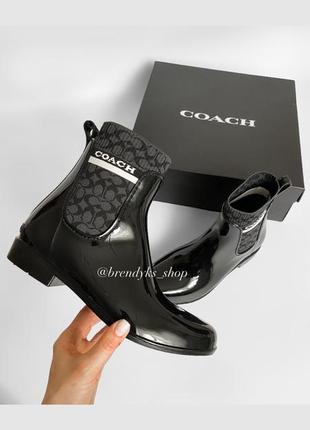 Сапожки coach