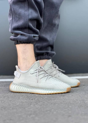 Adidas yeezy boost 350