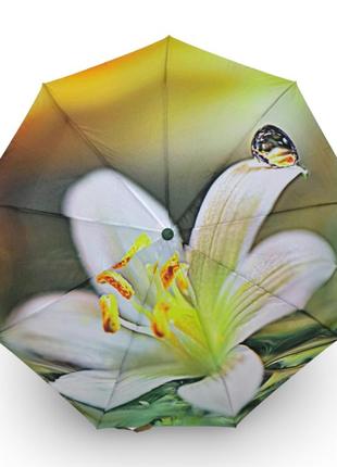 Парасолька жіноча frei regen напівавтомат "капля на квітці" #0908523 фото