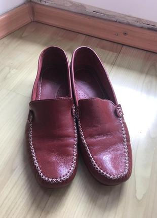 Мокасини