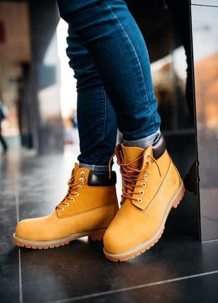 Чоловічі черевики timberland "ginger" термо