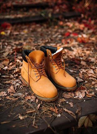 Женские ботинки timberland “ginger” мех6 фото