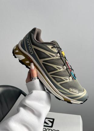 Кросівки salomon xt-6 beluga dull gold