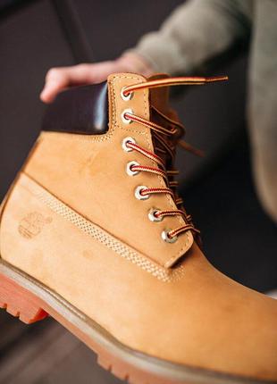 Черевики timberland ginger ботинки термо8 фото