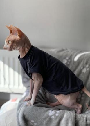 Одежда животных, для котиков и собачек