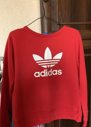 Свитшот adidas