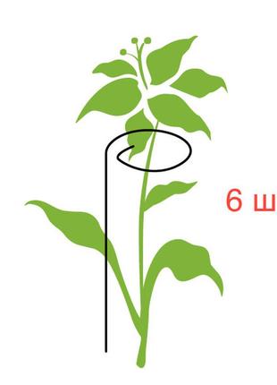 Комплект тримачей для стебля 800 мм (6 штук)