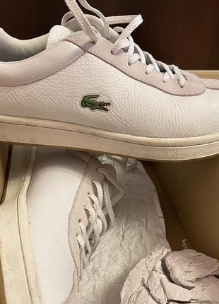 Кожаные мужские белые кеды lacoste us 9.52 фото