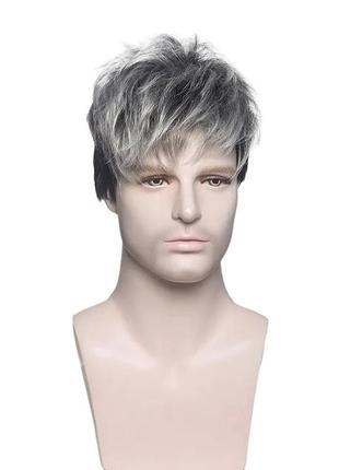 Парик мужской короткий черный с сединой dc men black/ 462