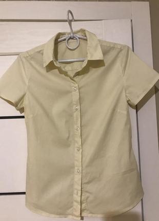 Рубашка блуза манго2 фото