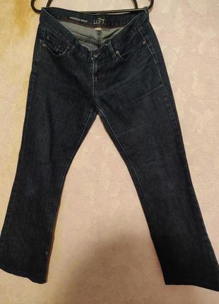 Ann taylor loft jeans