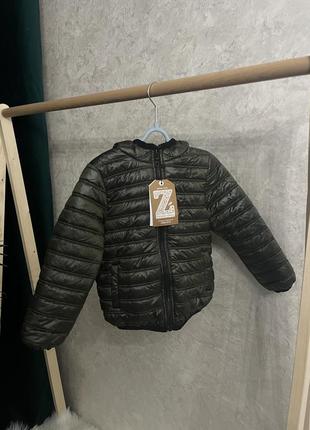 Куртка деми на мальчика, 110 см