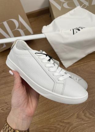 Шкіряні кеди zara4 фото