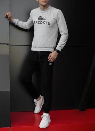 Спортивный костюм lacoste логотип принт