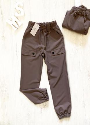 Демісезонні брюки