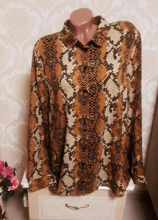 Шикарна жіноча блуза принт змія