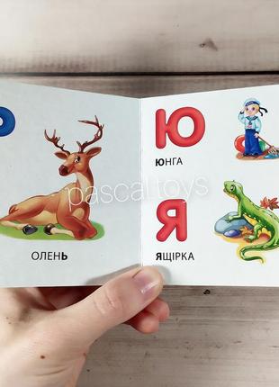 Детская книжка картошка "абетка для девочек"