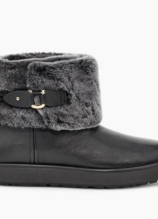 Ботинки кожаные ugg classic berge mini7 фото