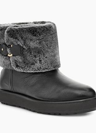 Черевики шкіряні ugg classic berge mini