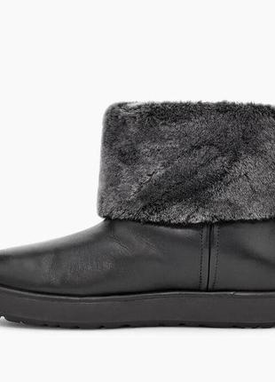 Ботинки кожаные ugg classic berge mini3 фото