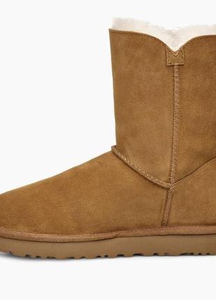 Сапоги ugg2 фото