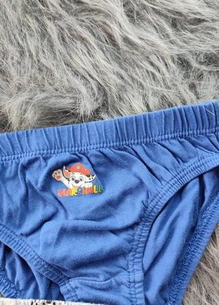 Трусики для мальчика