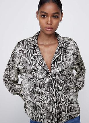Рубашка zara animal print