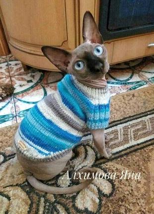 Свитер для сфинкса. свитер для кота. одежда для собак и котов10 фото