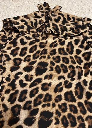 Блуза лео 7
