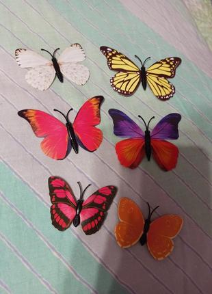 Декоративні метелики на магніті 6 шт.1 фото