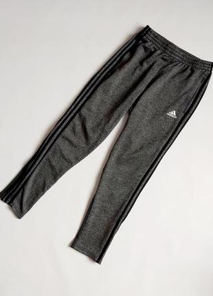 Спортивные штаны утепленные мужские adidas p. m1 фото