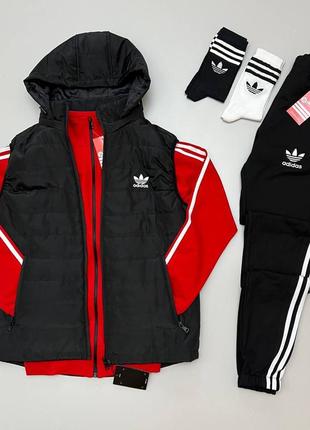 Весняний спортивний adidas: жилет+ костюм (олімпійка+ штани) + 2 пари