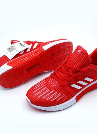 Чоловічі кросівки для бігу adidas climacool(раз: 41-45) червоний