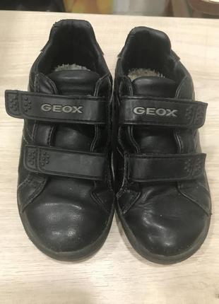Кожаные туфли кроссовки geox