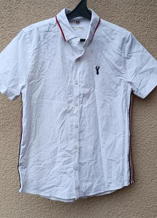 🔥 распродаж фирменная белая рубашка короткий рукав next на мальчика 10-13 р. cotton