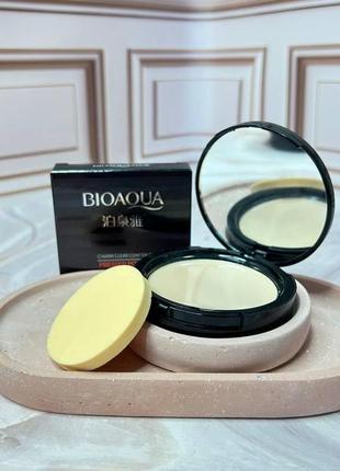 Пудра для обличчя bioaqua charm clear concealer тон натуральний1 фото