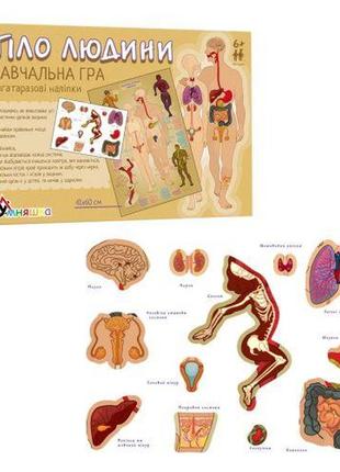 Обучающая игра с многоразовыми наклейками "тіло людини" (укр)1 фото