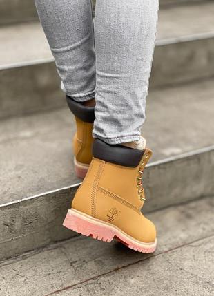 Ботинки timberland brown термо черевики4 фото