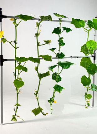 Садовий тримач-шпалера для підв'язування рослин cucumber - опора міні-парника для розсади огірків