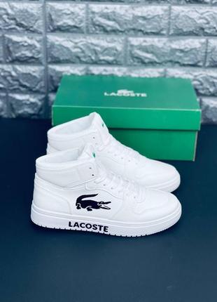Кросівки lacoste жіночі, білі якісні кросівки лакост4 фото