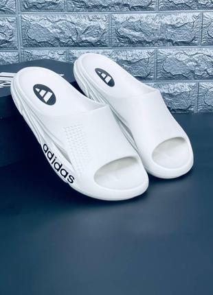 Шльопанці чоловічі adidas yeezy slide bone, шльопанці сланці капц1 фото