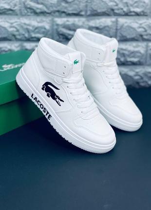 Lacoste кросівки чоловічі, білі якісні кросівки лакост