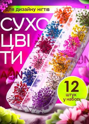 Сухоцвіти для дизайну нігтів, набір 12 кольорів