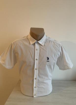 Рубашка polo assn