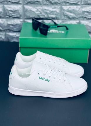 Кросівки lacoste білі чоловічі, стильні зручні кроси лакост