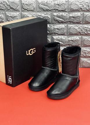 Ugg australia уги чоловічі, зимові уги з натуральної шкіри 20233 фото