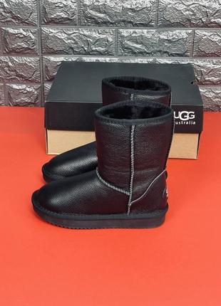 Чоловічі зимові уги ugg australia чорні уги з натуральної шкіри7 фото