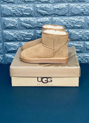 Уги чоловічі ugg australia, уги зимові з натуральної замші4 фото