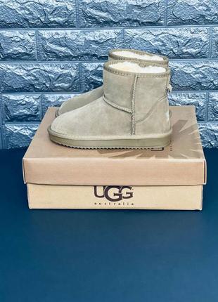 Чоловічі уги ugg australia, замшеві зимові уги усі розміри4 фото